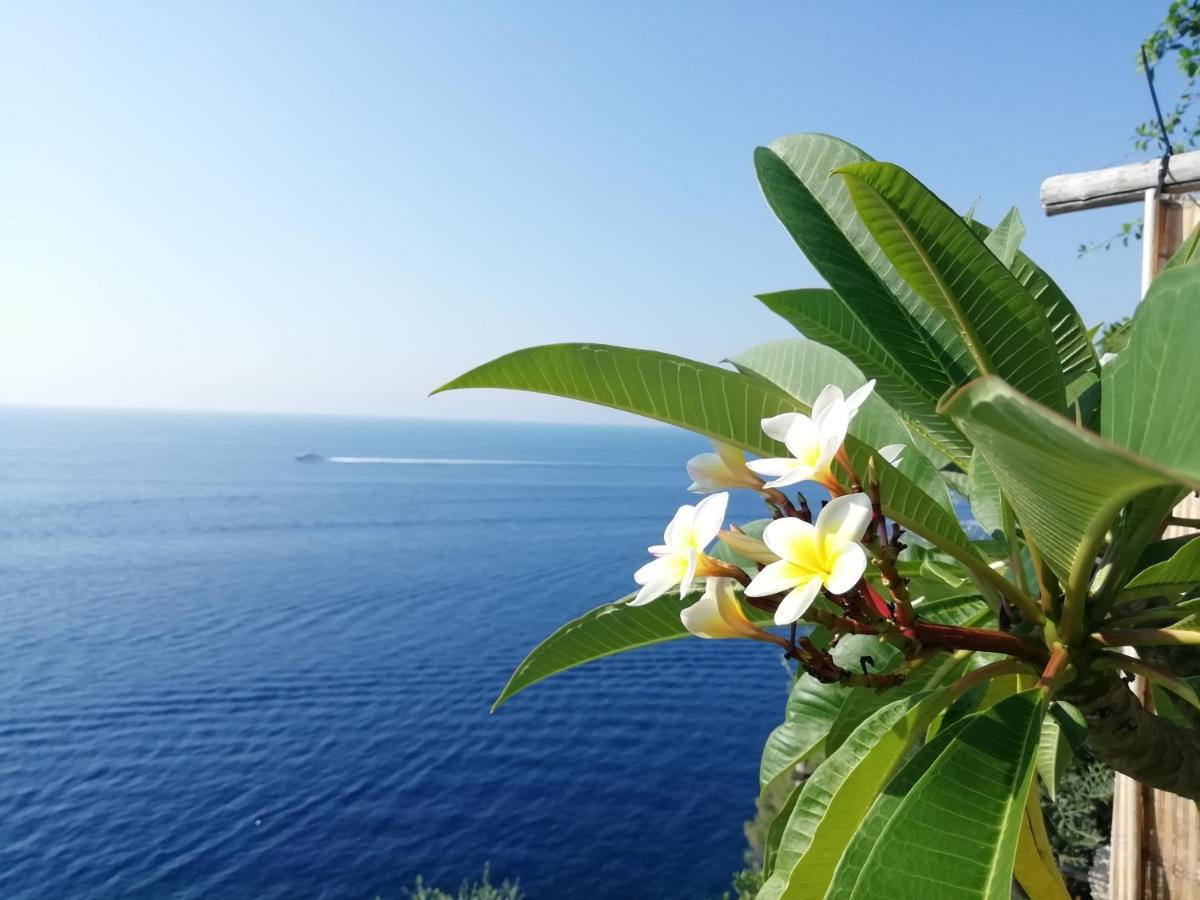 Sea Side Solandra Apartment Праяно Екстериор снимка